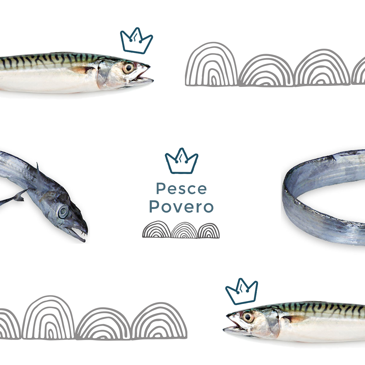Pesce povero